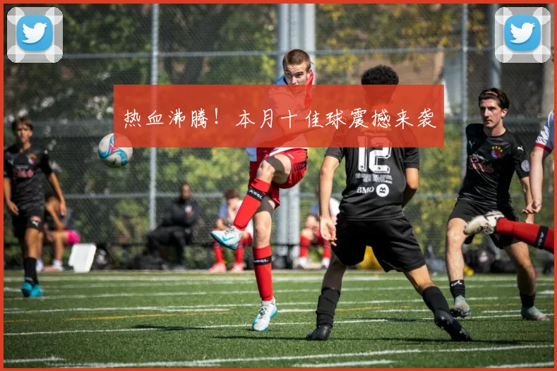 热血沸腾！本月十佳球震撼来袭