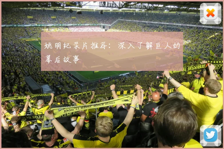 姚明纪录片推荐：深入了解巨人的幕后故事