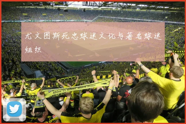 尤文图斯死忠球迷文化与著名球迷组织