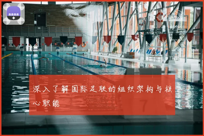 深入了解国际足联的组织架构与核心职能