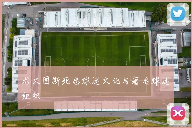 尤文图斯死忠球迷文化与著名球迷组织